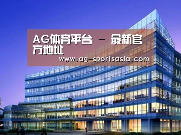 案例展示五