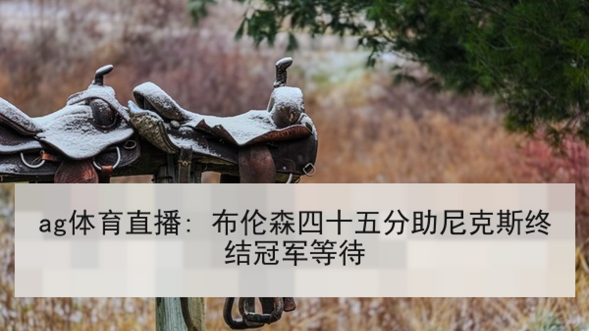 ag体育直播: 布伦森四十五分助尼克斯终结冠军等待 ag体育直播: 布伦森四十五分助尼克斯终结冠军等待