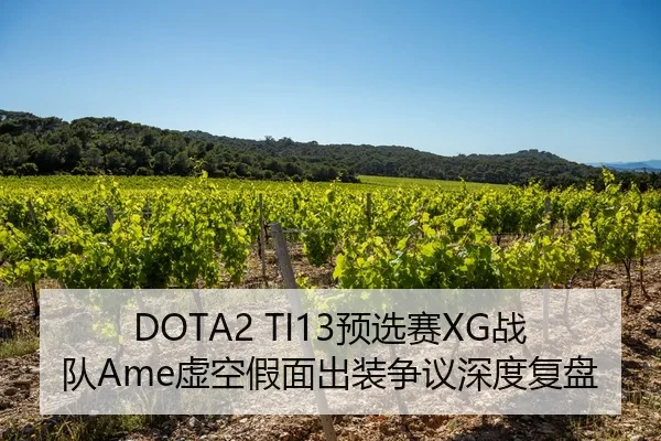 DOTA2 TI13预选赛XG战队Ame虚空假面出装争议深度复盘